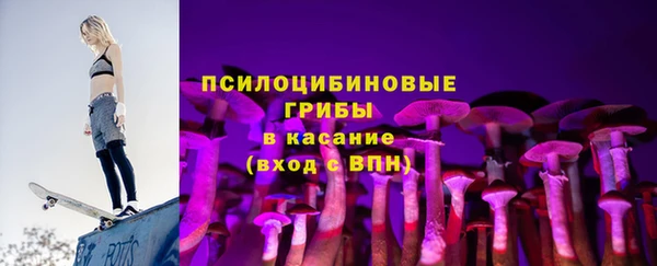 мескалин Осинники