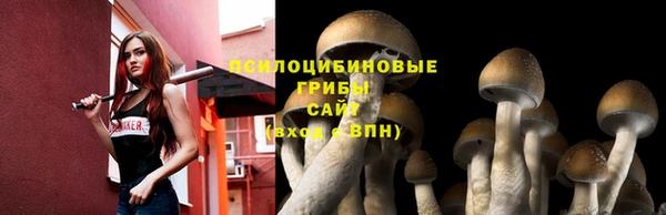 дмт Остров