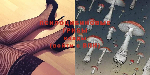 таблы Осташков