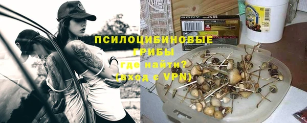 Альфа ПВП Нягань