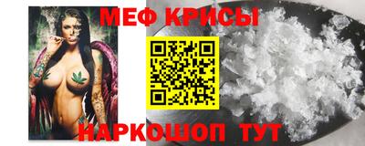 Альфа ПВП Гатчина