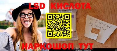 стафф Гай