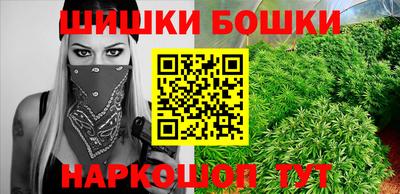 стафф Гай