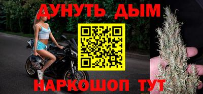 стафф Гай