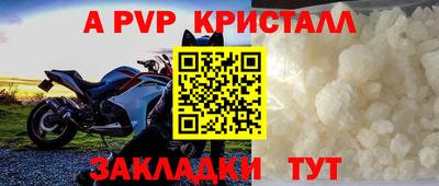 стафф Гай