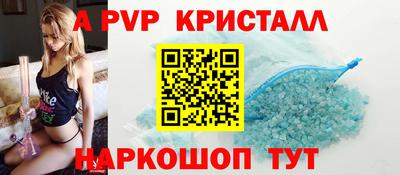 стафф Гай