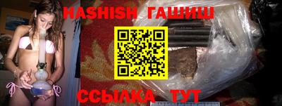 стафф Гай
