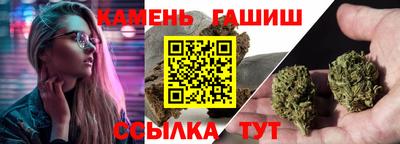 стафф Гай