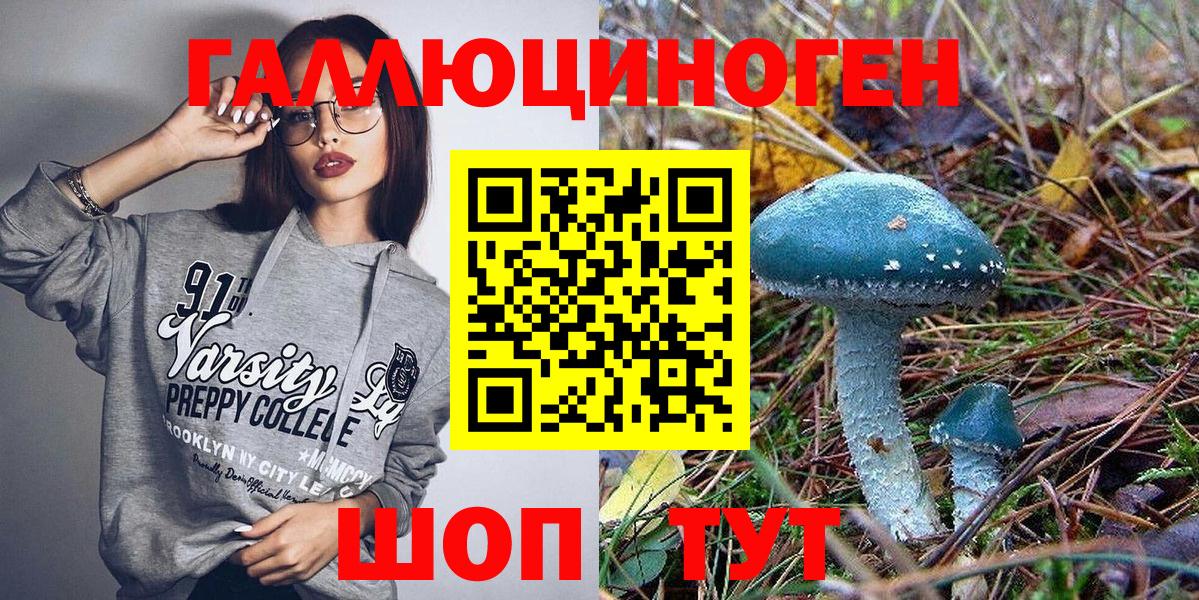 Галлюциногенные грибы Psilocybe Истра