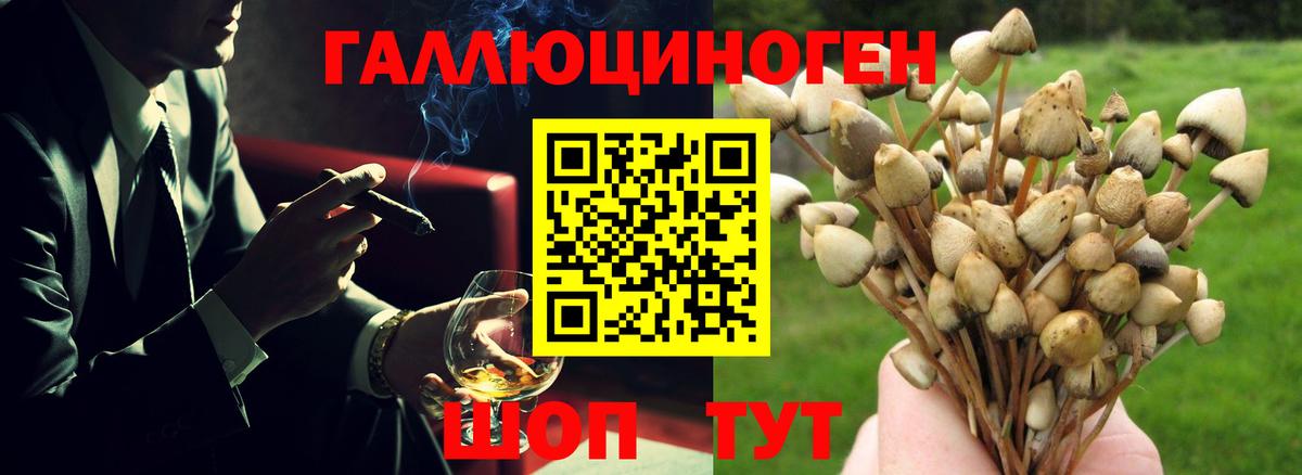 сколько стоит  Галлюциногенные грибы мухоморы  Вход с VPN  Истра 